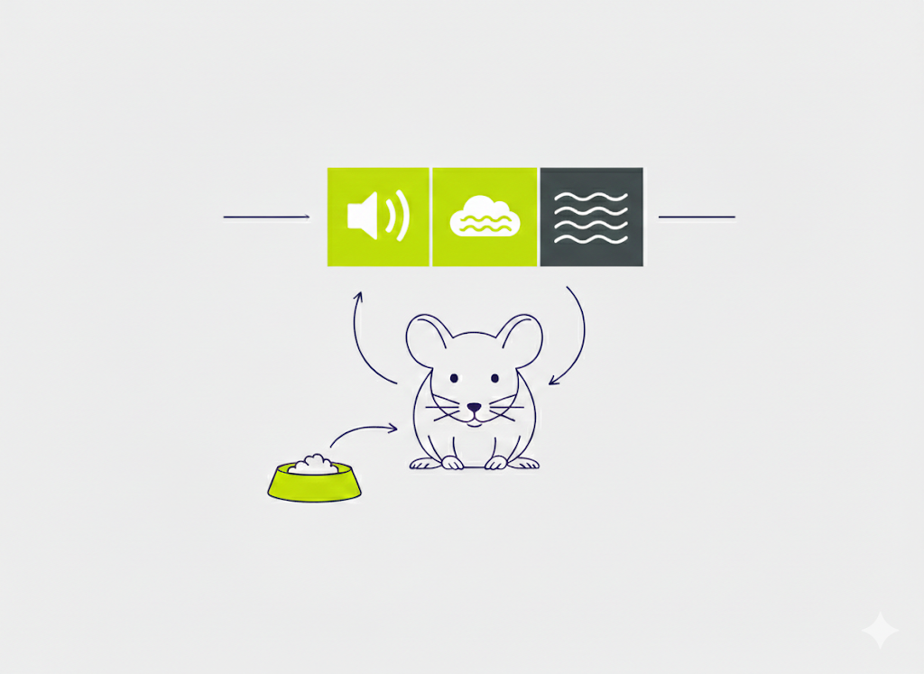 Mouse in a sensory discrimination training arena